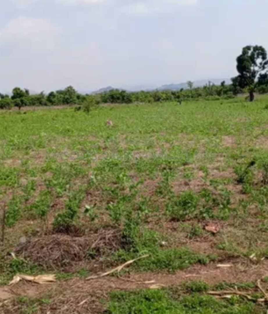 3.44 Hectares Mixed-Use Land for Sale in Wawa, Airport Road beside Centenary City